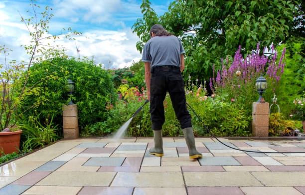 Trusted Clarion, IA Pressure Washing Services Experts